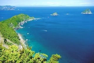 ふるさと納税でふるさとの豊かな自然を後世に伝えたい～大分県佐伯市