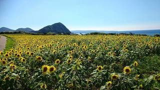 ふるさと納税で、五島の豊かな自然と独自の歴史を後世に残したい！