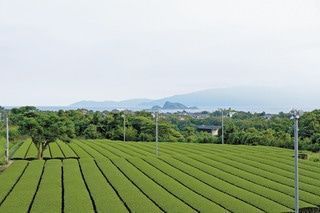 ふるさと納税で志布志の子どもたちに「身近に１冊の本がある」環境を！