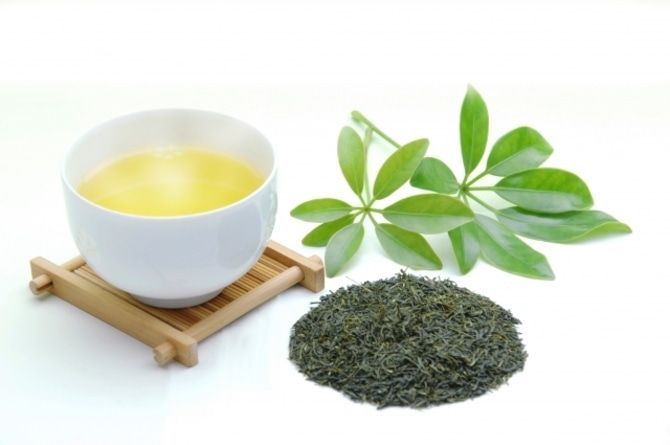 知ってた?実は九州は全国有数の「お茶処」なんです!