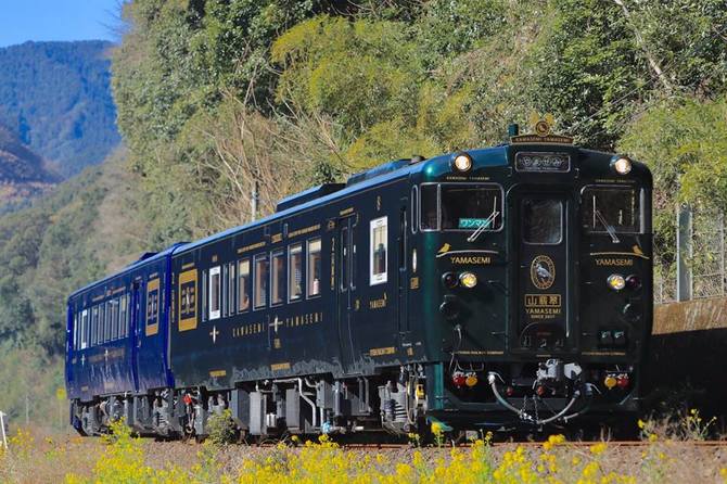 3000円で大満足!熊本を走る新観光列車「特急かわせみ やませみ」の魅力