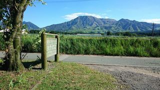 500円で大満足な熊本(熊本市、阿蘇市)のワンコインランチ7選