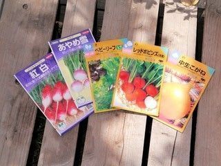 ベランダで秋野菜が簡単にできる！プロのおすすめは