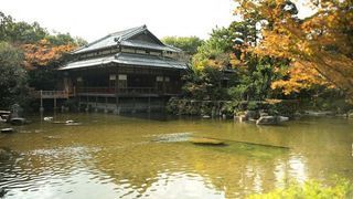 街中でホッと一息。憩いの日本庭園に行こう！