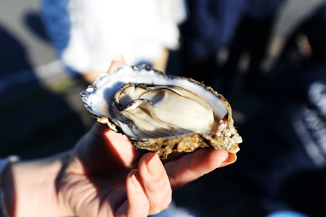 牡蠣のシーズン到来!熊本のおすすめ牡蠣小屋厳選3店