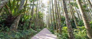 大注目の沖縄市エリア♪ フォトジェニックな東南植物楽園で一日中遊んじゃおう！