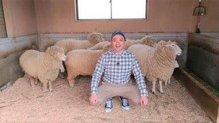 安い！家族で行ける！長崎の行楽スポット！