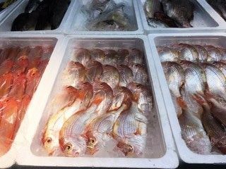 早起きは三文のトク！長崎の朝市でお得に絶品海鮮をゲット！