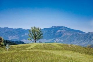 大自然を愛でながらショップ巡り！熊本・南阿蘇のドライブ立ち寄りスポット5選