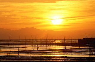 佐賀牛、呼子のイカ、有田焼。佐賀県のふるさと納税は魅力的！