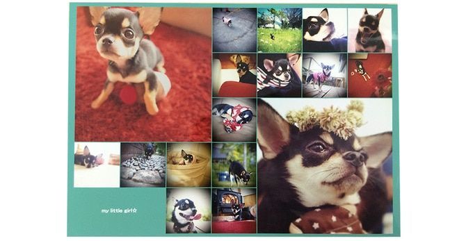 眠っていた写真が魅力的に見える!シャッフルプリントって?