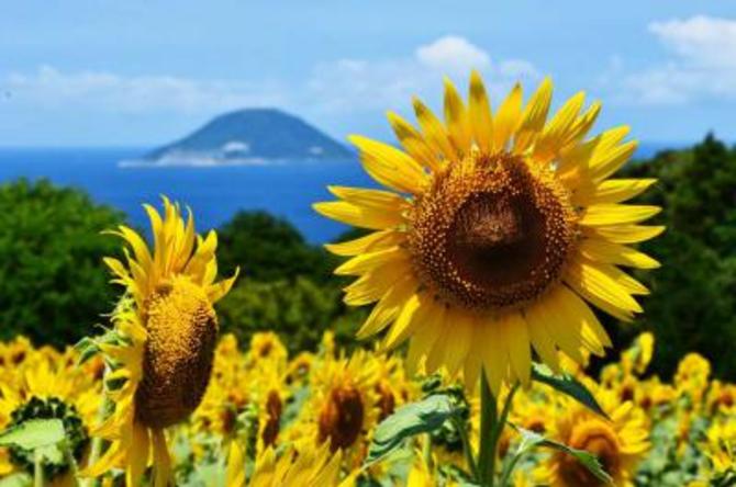 福岡からたった10分で到着ネイチャーアイランド「能古島」