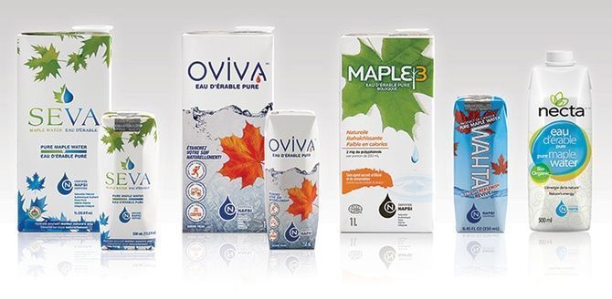 ポリフェノールも！注目の天然ドリンク★メープルウォーター