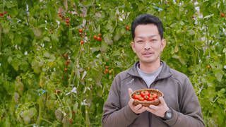 バイオマスエネルギーで日本の未来を変える！ トマト農家が開発する新しい農業システム。