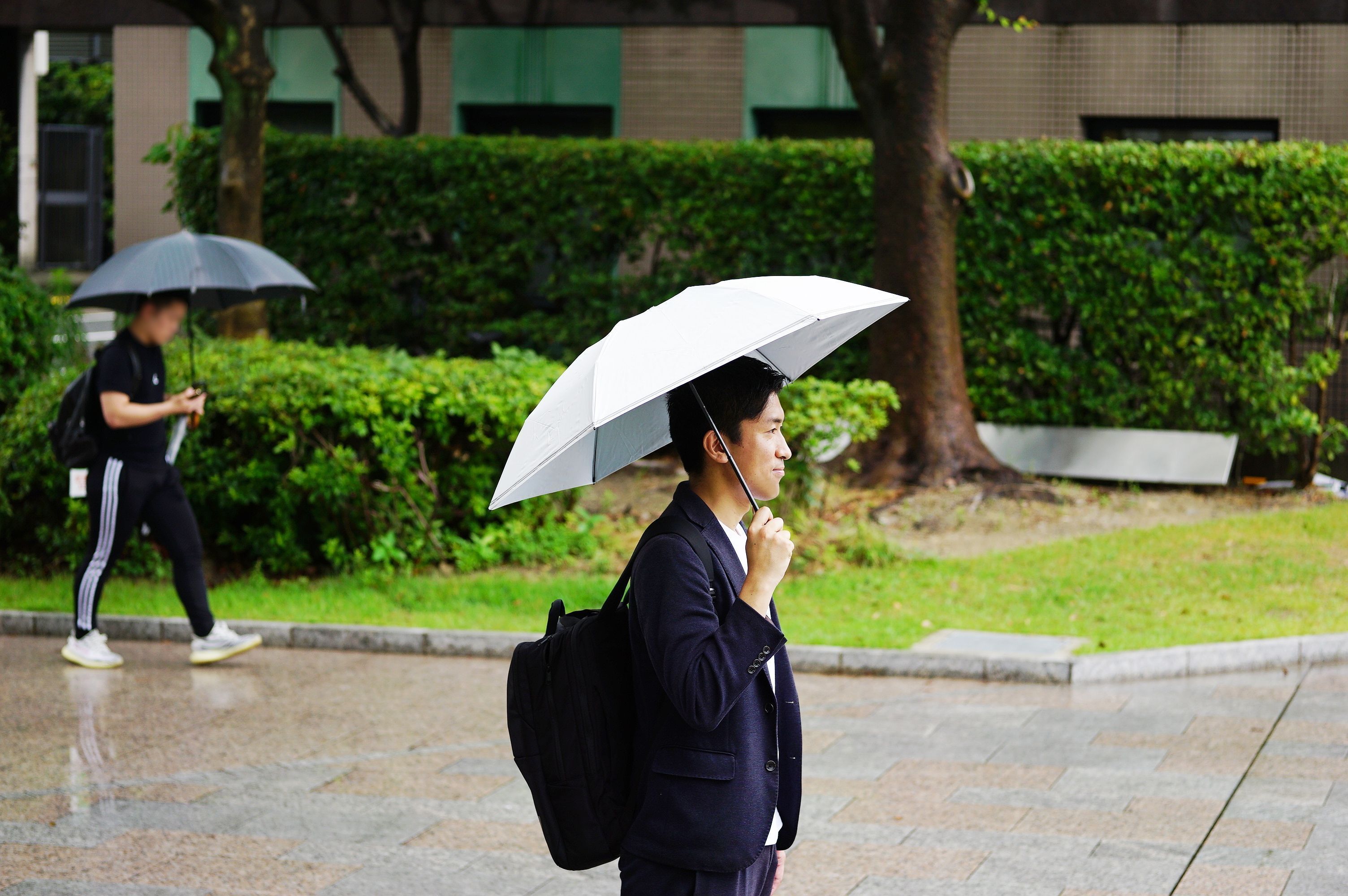 雨の日をスマートに過ごせる ハイスペック折り畳み傘 収納時のコンパクト設計にも感動 Mymo マイモ