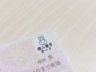 「マイナンバーカード」の会社への提出、アルバイトやパートも必要？罰則はあるの？