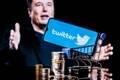 テスラ株売却のため?イーロン・マスク氏のTwitter買収、その真意は