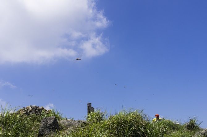 登山を楽しめるか否かは「情報収集」次第!コツを教えて