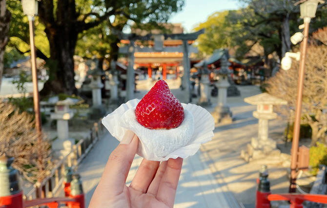 福岡「太宰府」のおすすめワンコインスウィーツ！ 食べ歩き&手土産の人気店5選