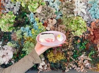 福岡「大楠・玉川」のおすすめワンコインスウィーツ！ 食べ歩き&手土産の人気店5選