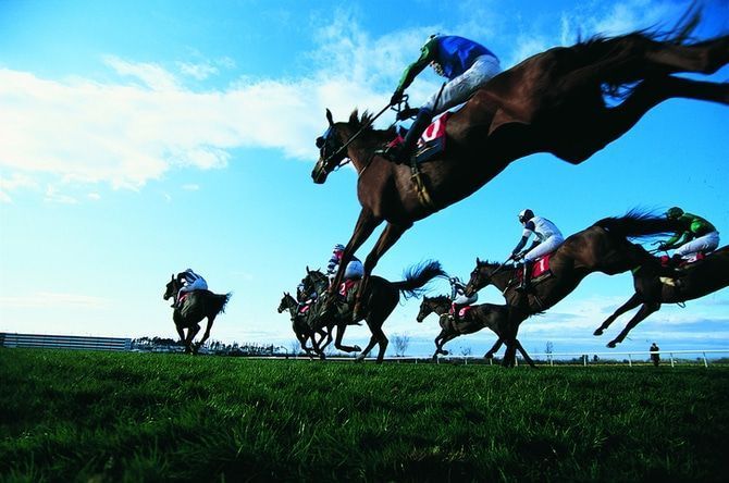 UMAJOのススメ☆トラディショナルで新しい競馬の魅力
