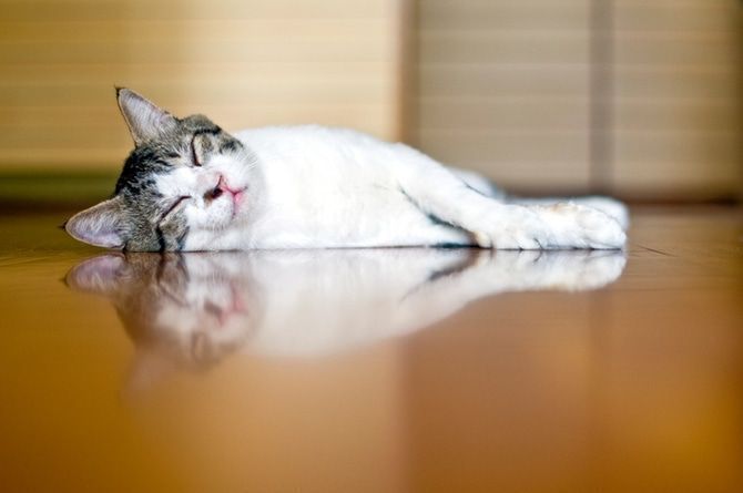 これからの冬は寒さ知らず♪あなたの家にオススメの床暖房は?