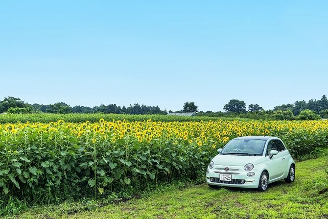 めちゃカワイイ！女性が選ぶ、見た目重視の海外コンパクトカー