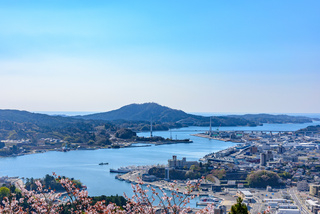 気仙沼レポート『創造的復興』ってちゃんちゃら不自然じゃん!?