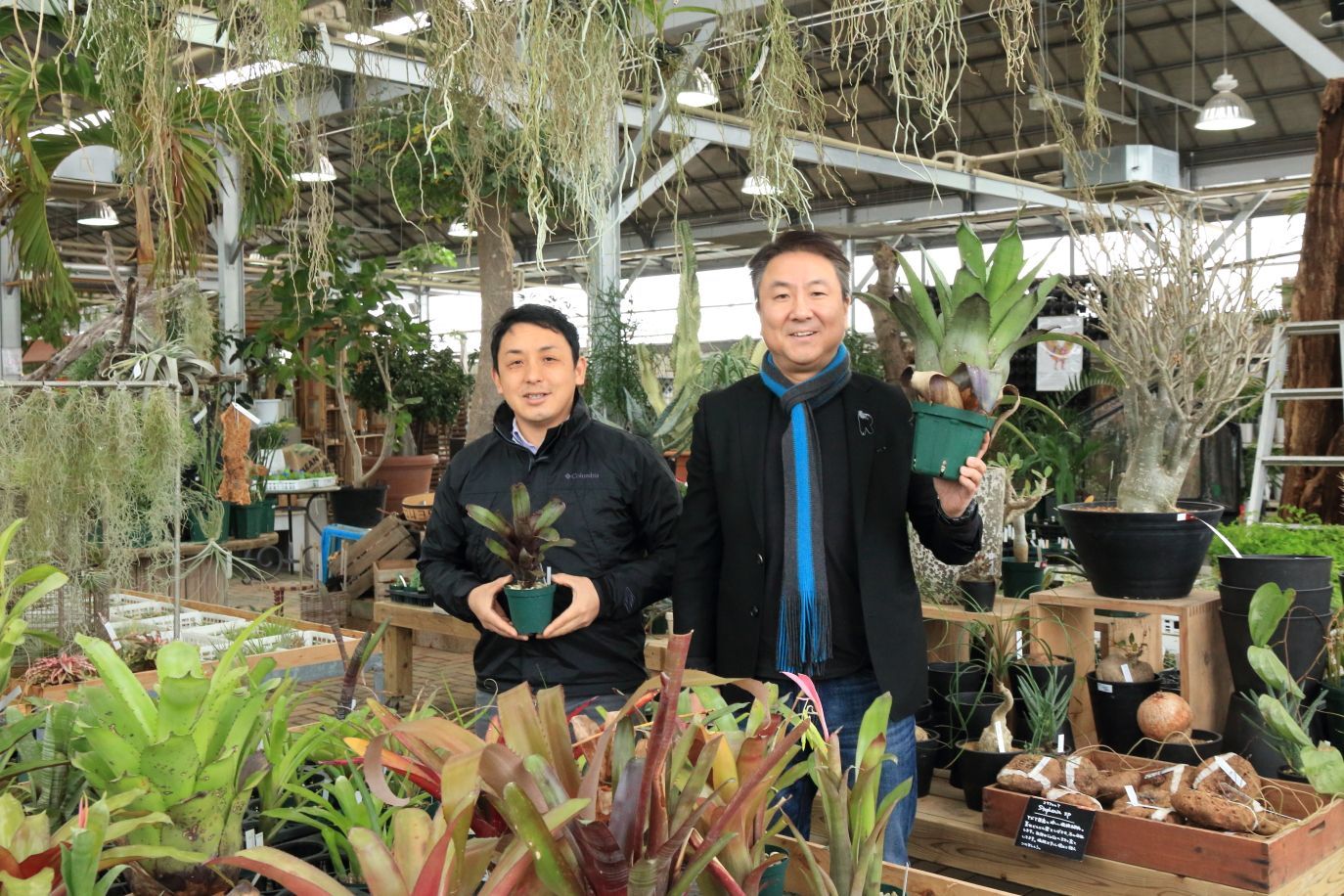 新居で楽しみたい インテリアとしてオススメの植物は Mymo マイモ