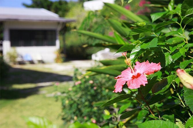 初夏の旅は日本国内の離島が狙い目。のんびり過ごす自然いっぱいの離島はココで決まり！