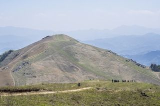 低くて登りやすそうな山でも山岳保険は必要？プロに聞いた
