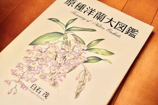 手をかけた分だけ応えてくれる ランに魅せられ300万円を投じた趣味人 Mymo マイモ