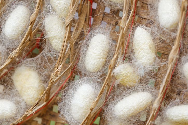 ninsiri/iStock/Thinkstock