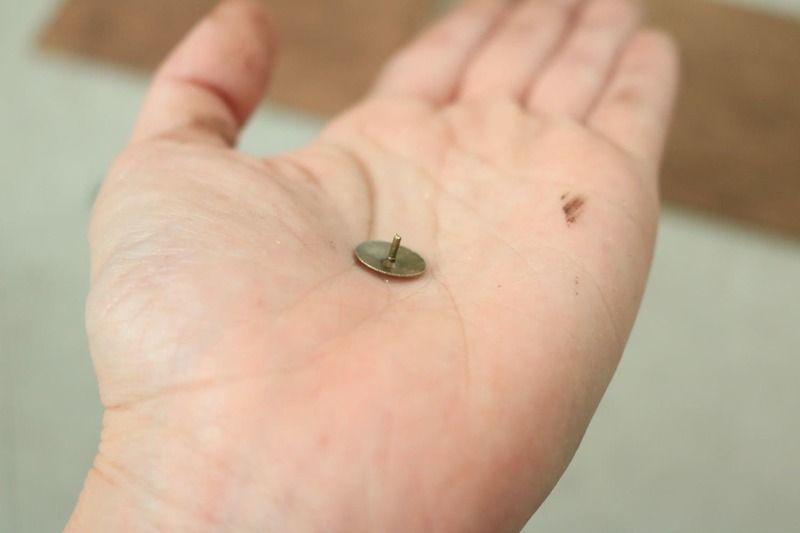 カット後の針先