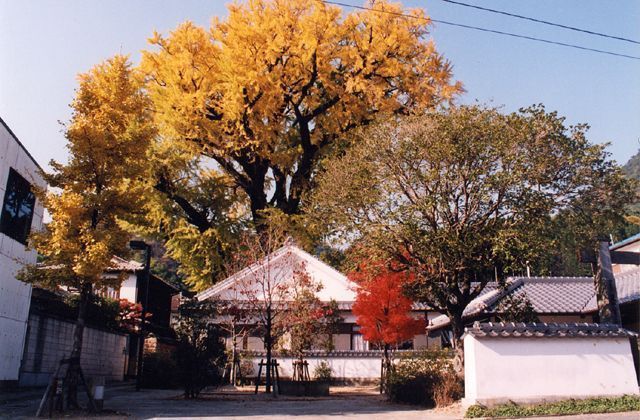 全国観るなび 佐賀県 (日本観光振興協会)