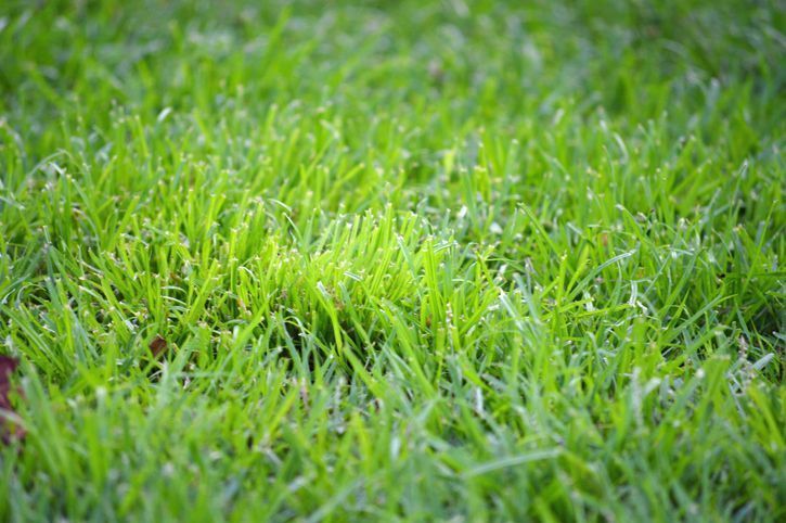 Atlantic_Adv/iStock/Thinkstock