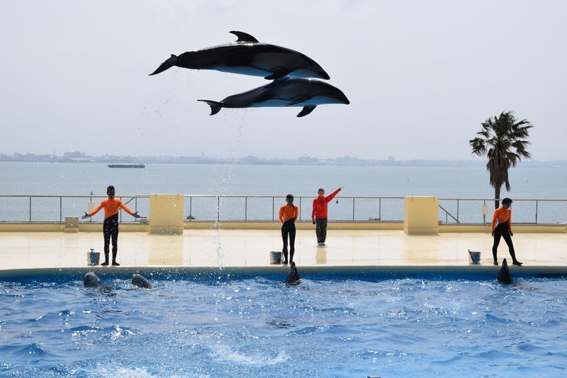 マリンワールド