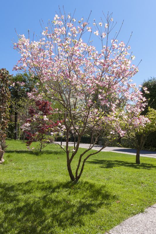 trattieritratti/iStock/Thinkstock