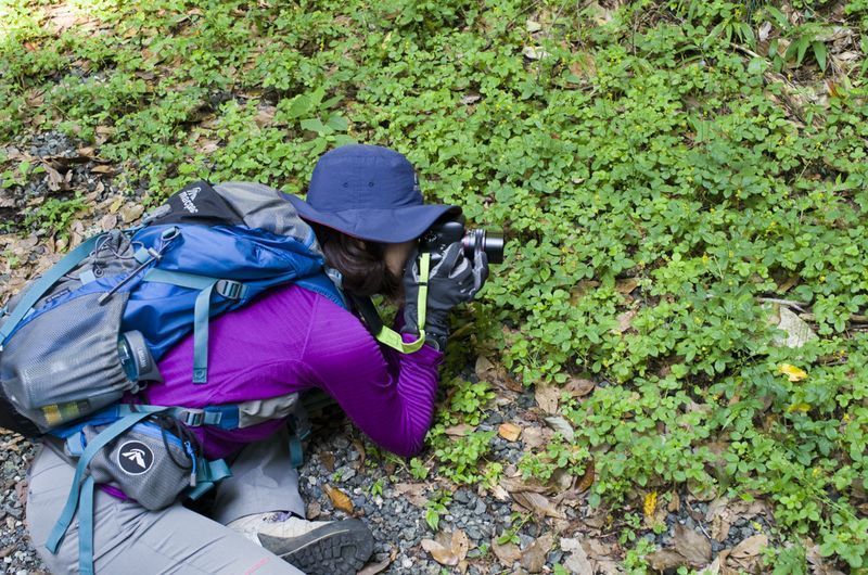季刊のぼろ編集部