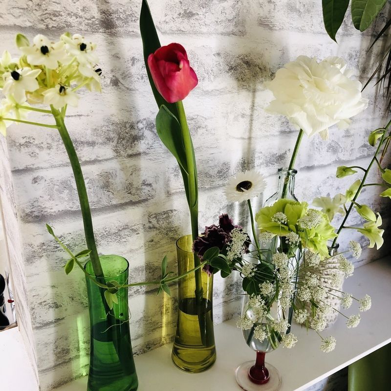 ピンクのチューリップ