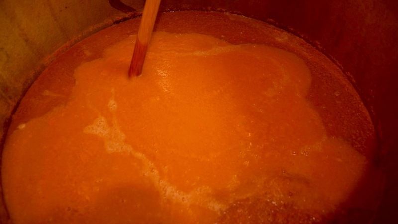 もも酢発酵の様子