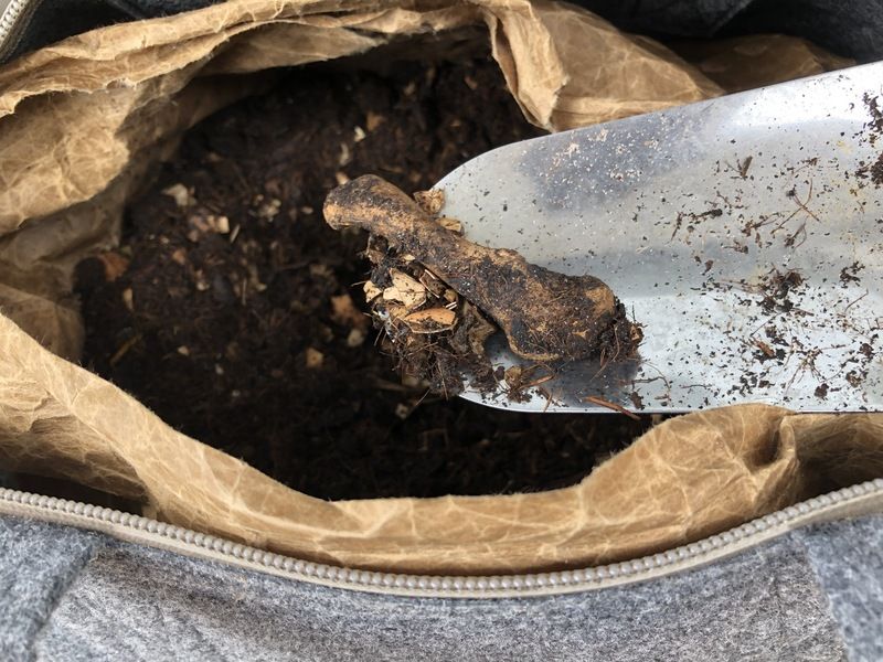 鶏の手羽元の骨