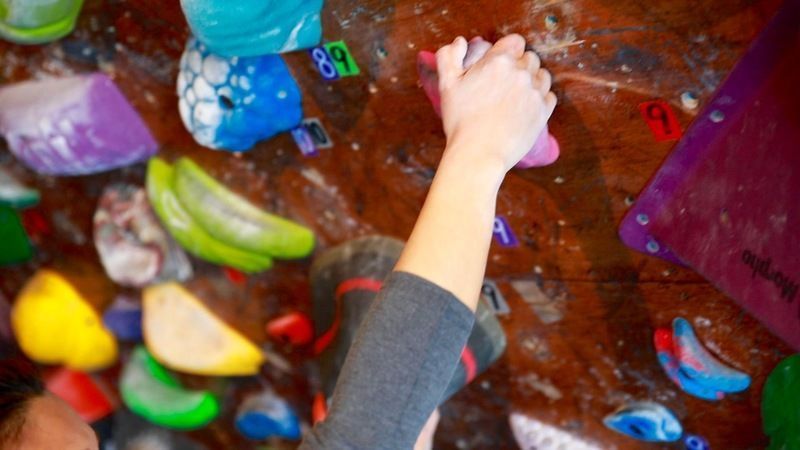 ボルダリングの壁