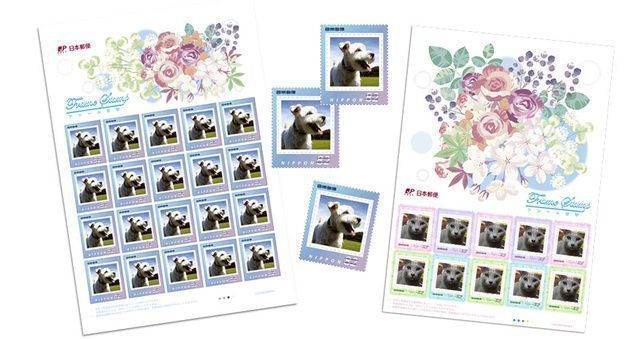 25ansヴァンサンカン公式サイト