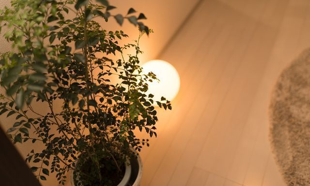 スタンドライトによる照明