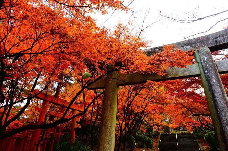 かまど神社