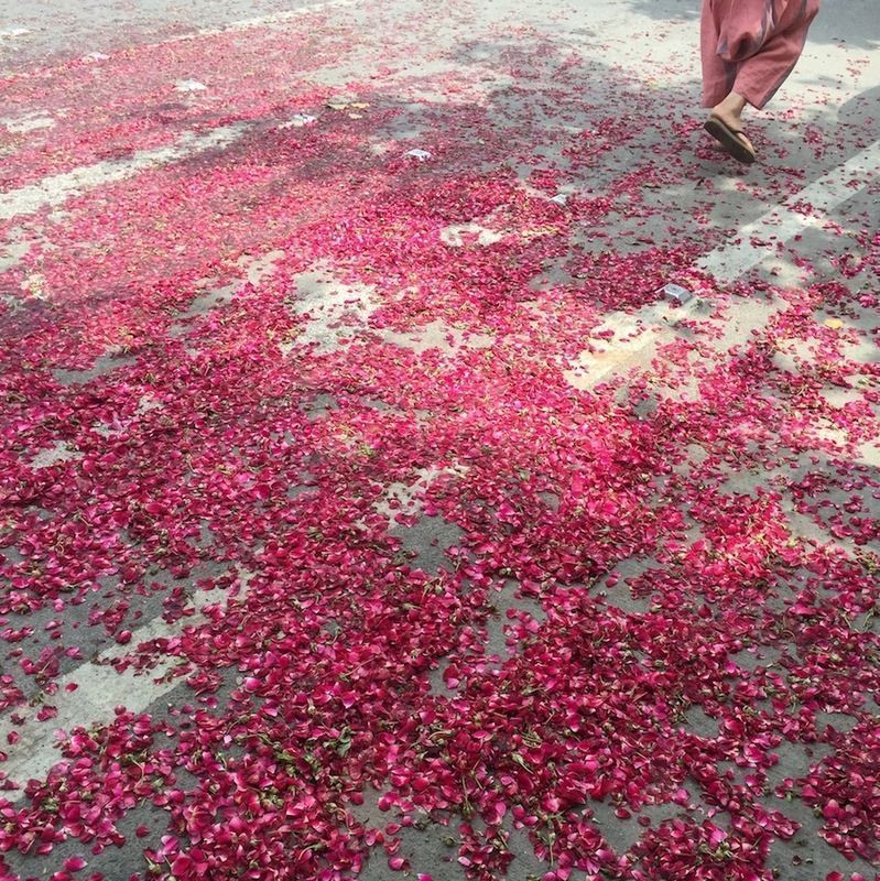 祭り後の花びら