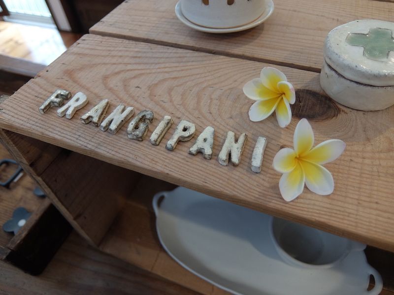 フランジパニの陶器と花