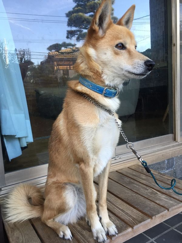 ガクの写真アップ