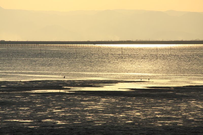佐賀市観光協会/有明海